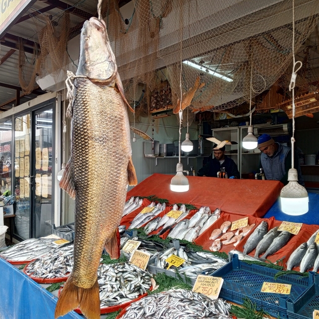 Karakaya Barajı'nda yakalanan 42 kiloluk turna balığı ilgi gördü