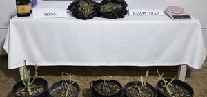 Aksu'da 243 gram uyuşturucu madde ele geçirildi