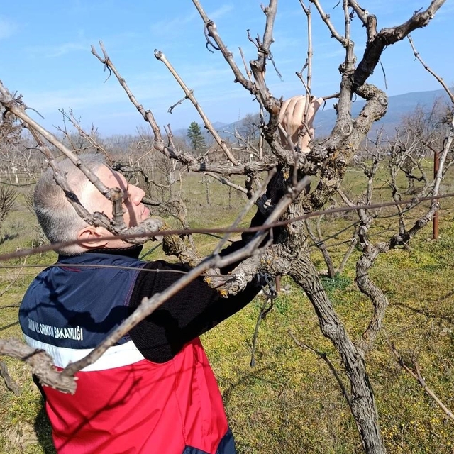 Simav'da yem bitkileri ve hububat ekili alanlarda verim çalışması yapıldı
