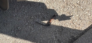 Karaman'da bıçaklı kavga: 1 yaralı