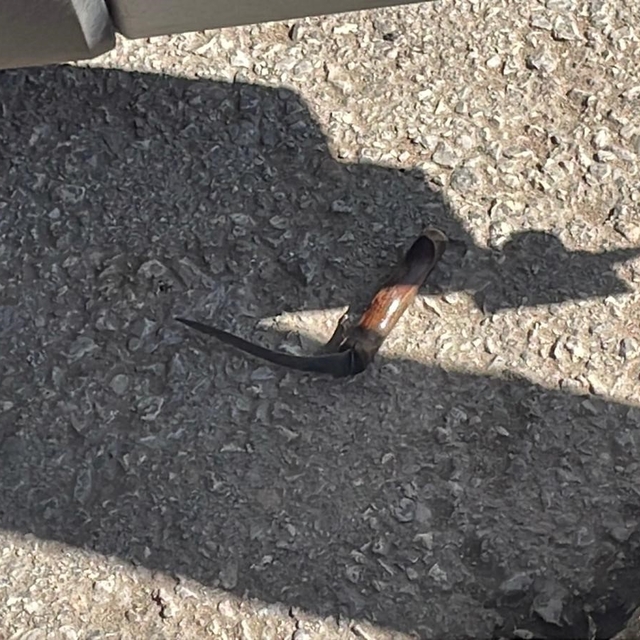 Karaman'da bıçaklı kavga: 1 yaralı