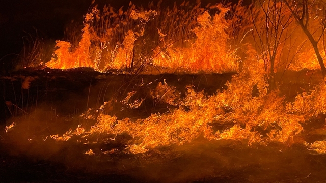 Burdur'da sazlık alanda yangın geceyi aydınlattı
Yangın ekiplerce uzun uğraşlar sonucu söndürüldü