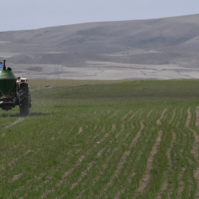 Mevsim yağmurları öncesi çiftçiler gübre mesaisine başladı