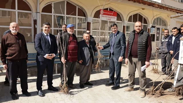 Kütahya'da yerel kiraz türleri yeniden toprakla buluşuyor