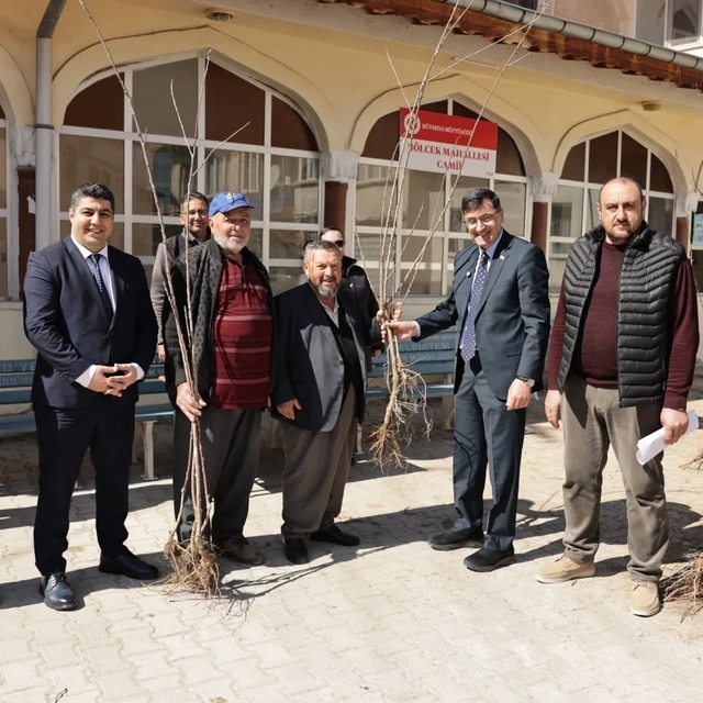 Kütahya'da yerel kiraz türleri yeniden toprakla buluşuyor
