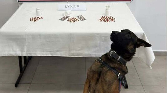 Aydın'da uyuşturucu operasyonu; 10 tutuklama