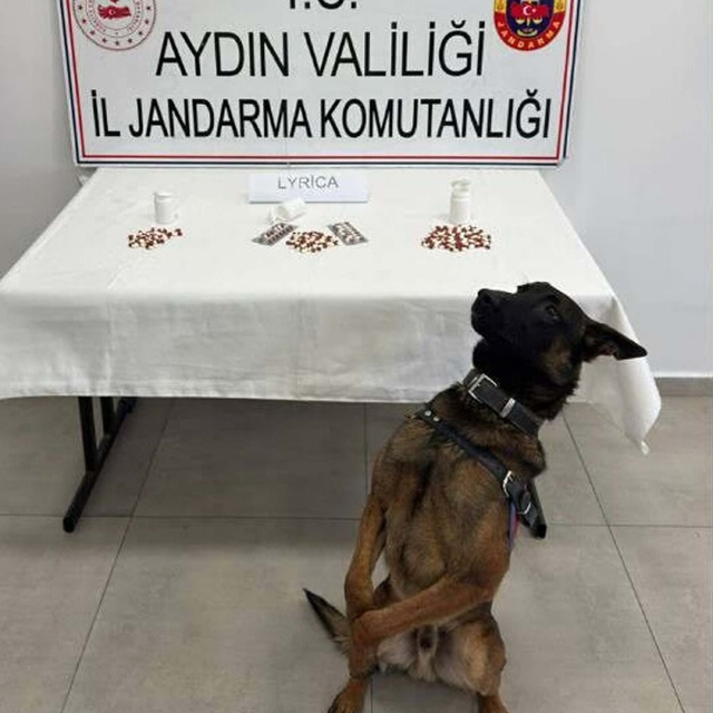 Aydın'da uyuşturucu operasyonu; 10 tutuklama