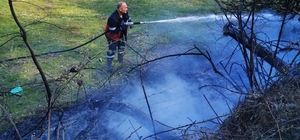 Sinop'ta yangın paniği