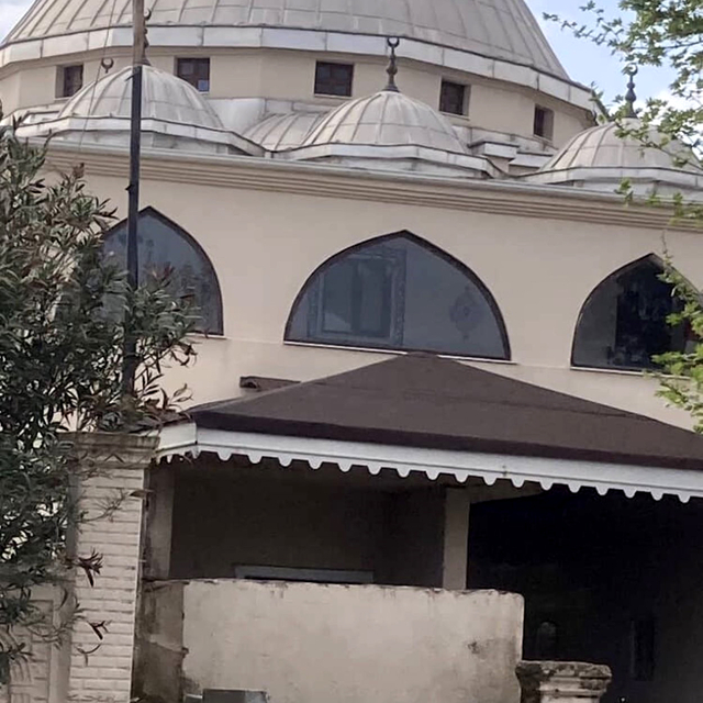 Yaban hayatı gözlemcisinden leyleğin bozulan yuvası için çağrı