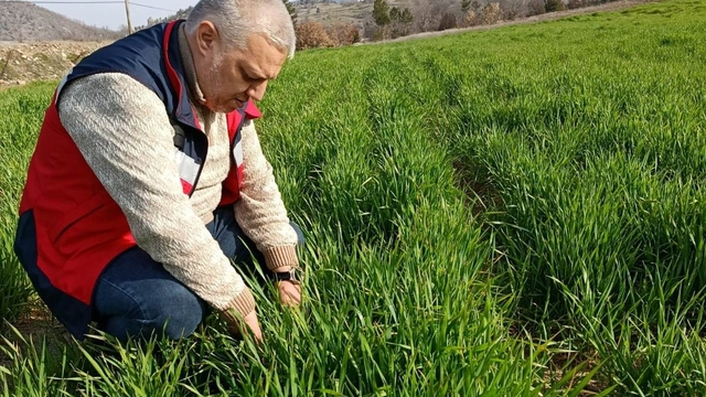 Simav'da tarımsal çalışmalar sürüyor