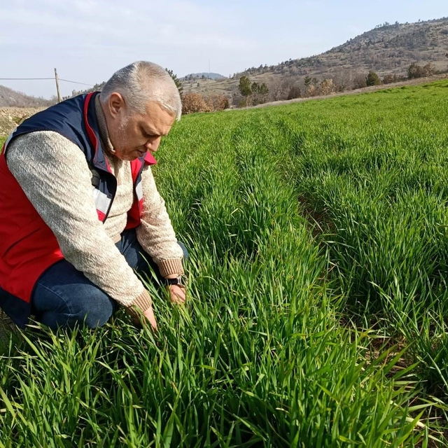 Simav'da tarımsal çalışmalar sürüyor