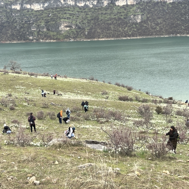 Bahar çiçeği nergisler doğaseverlerin ilgi odağı oldu
Doğaseverler "Aşk çiç...