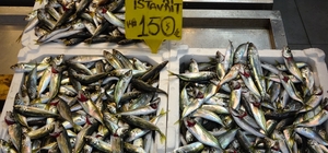 Bayram öncesi balık tezgahlarında bolluk Çeşit arttı, talep büyük balıklara kaydı