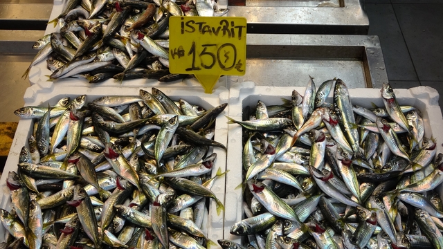 Bayram öncesi balık tezgahlarında bolluk
Çeşit arttı, talep büyük balıklara kaydı