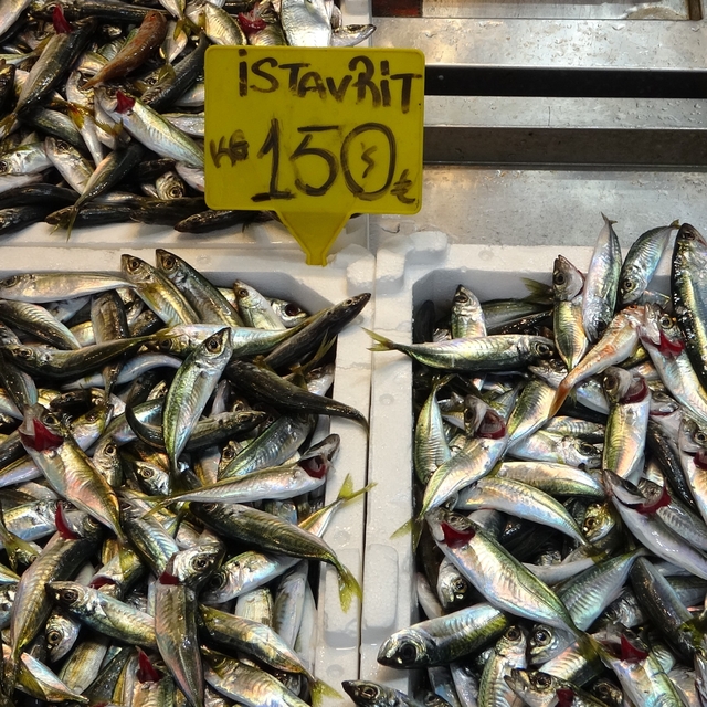 Bayram öncesi balık tezgahlarında bolluk
Çeşit arttı, talep büyük balıklara...