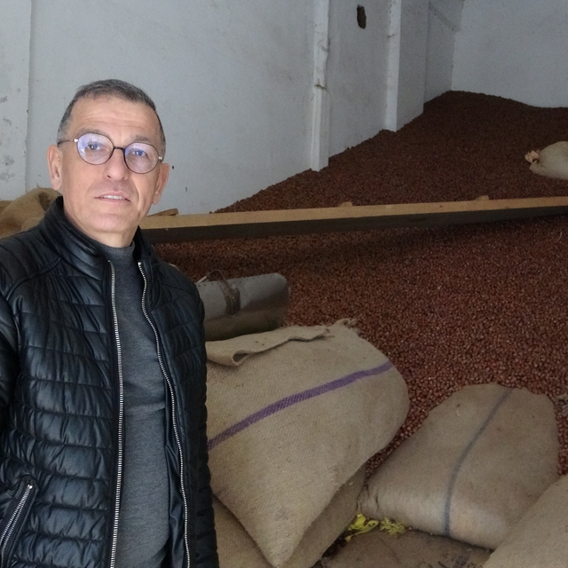 Ramazan Bayramı öncesi fındık fiyatları 240 liraya geriledi