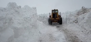 Karlıova'da karla mücadele sürüyor