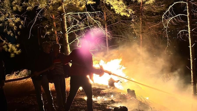 Hatay'da ormanlık alanda çıkan yangın büyümeden söndürüldü