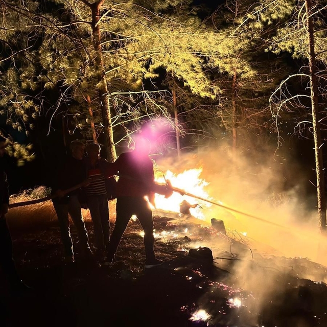 Hatay'da ormanlık alanda çıkan yangın büyümeden söndürüldü