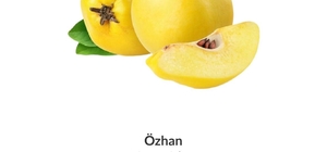 Ayvayı yiyemedik...Kilosu 300 liraya dayandı; lüks oldu