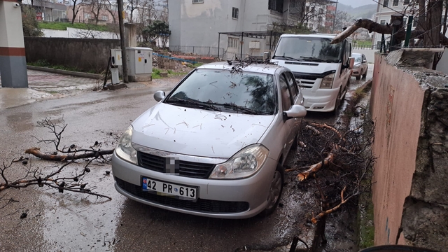 Yağmur ve şiddetli rüzgar çam ağacını devirdi, otomobil zarar gördü
