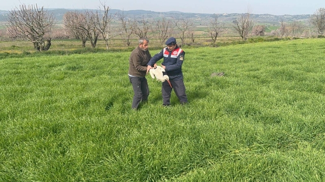 Bilecik'te yaralı leylek yetkililere teslim edildi