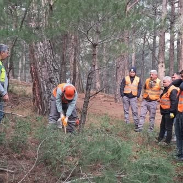 Orman işçileri Kazdağları'nda sınav için ter döktü