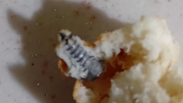 Aldığı ekmeğin içerisinden vida çıktı