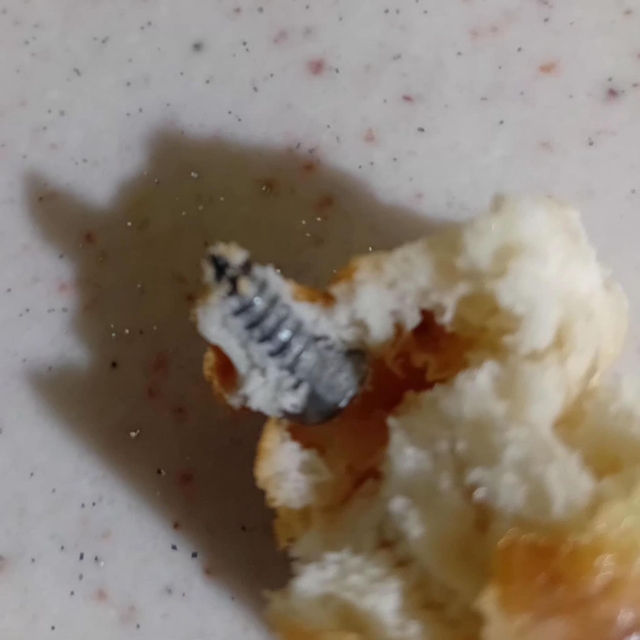 Aldığı ekmeğin içerisinden vida çıktı