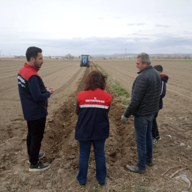 Patates ekimi sezonu başladı