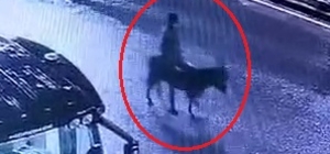 Kuyumcu dükkanından ziynet eşyası çalıp, eşekle kaçan sanığa 16 yıla kadar hapis istemi