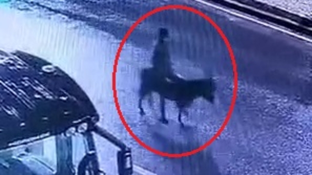 Kuyumcu dükkanından ziynet eşyası çalıp, eşekle kaçan sanığa 16 yıla kadar hapis istemi