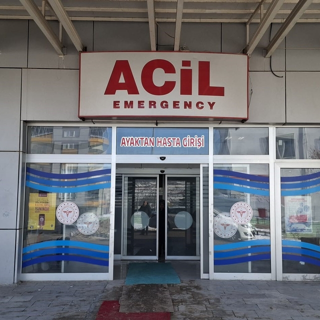 Otomobil ağaca çarptı: 1 yaralı