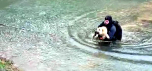 Suyla çevrili alanda mahsur kalan köpeği itfaiye eri kurtardı