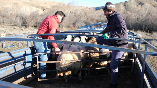 Erzincan'da besiciler 8 aylık göçe başladı