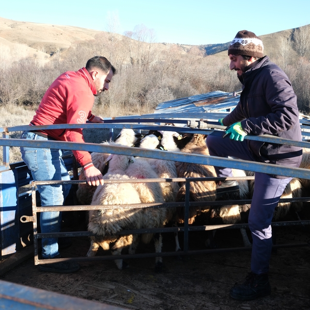 Erzincan'da besiciler 8 aylık göçe başladı