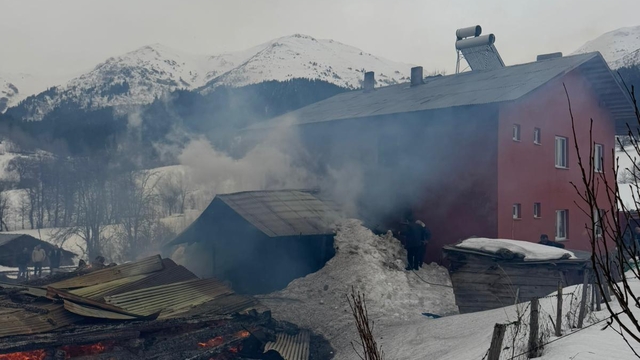 Artvin'de yangın: 1 ev, 2 ahır ve 1 ambar küle döndü