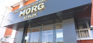 Elazığ'da motosikletin çarptığı yaya hayatını kaybetti