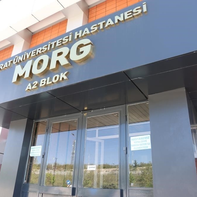 Elazığ'da motosikletin çarptığı yaya hayatını kaybetti