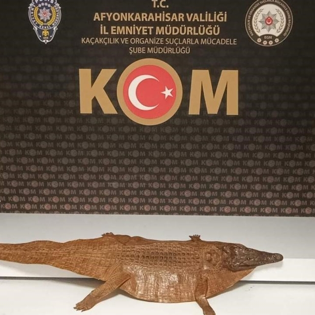 Polis durdurduğu araçta timsah derisi ele geçirdi