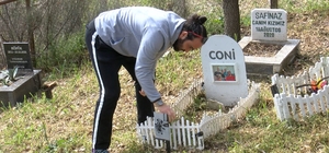Türkiye'nin ilk evcil hayvan mezarlığına bayram ziyareti
