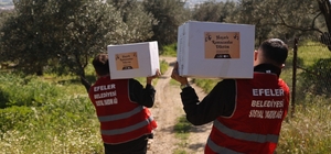 Efeler’de Ramazan dayanışması zirve yaptı