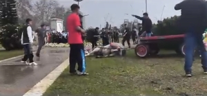 Atını sopa ve tekmeyle bayılttı