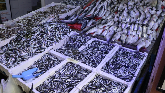 Ramazan ayı ve bayramda balık satışları düştü