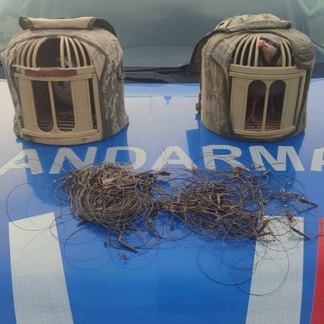 Kırşehir'de tuzakla keklik avlayan 2 kişi yakalandı