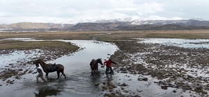 Atla gezi suda bitti