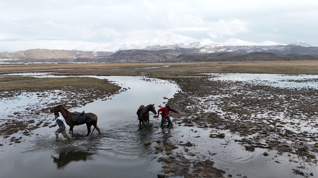 Atla gezi suda bitti