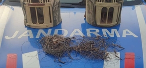 Kırşehir'de kaçak keklik avcıları yakalandı