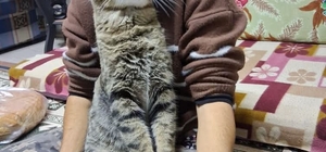 Yeğenini bıçaklayıp öldürdü, araya giren kardeşi ile damadını ağır yaraladı