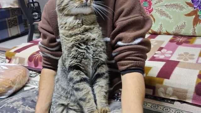 Yeğenini bıçaklayıp öldürdü, araya giren kardeşi ile damadını ağır yaraladı